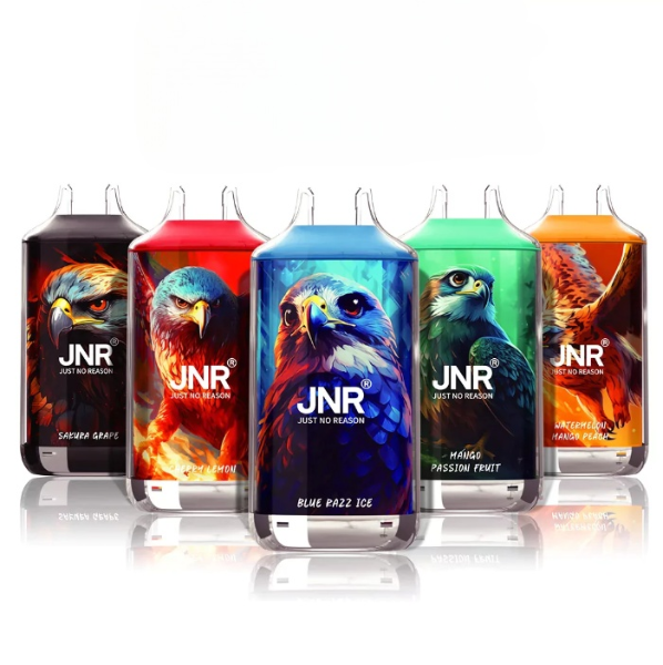 JNR Falcon X-18000 Puffs Disposable Vape | 20 Flavours
