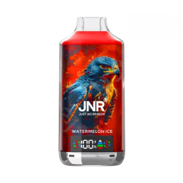 JNR Falcon X-18000 Puffs Disposable Vape | 20 Flavours